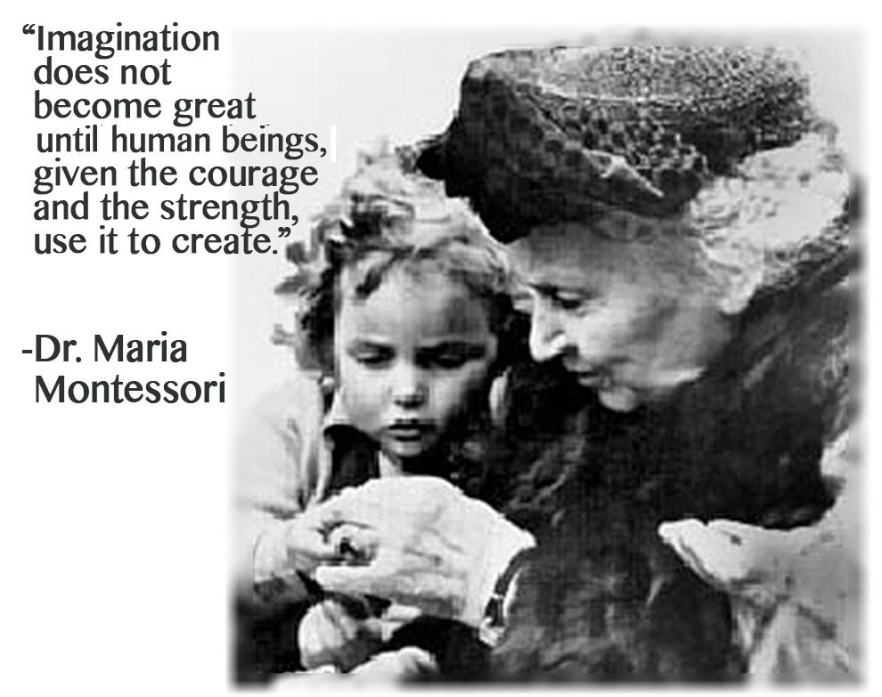 Follow the Child Dr. Montessori