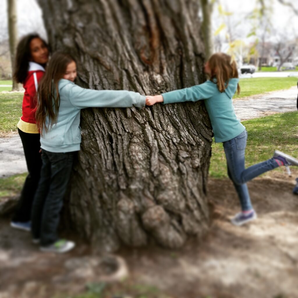 Tree huggers Outdoor Learning Blog Grumble Services Blog elementary Montessori materials and learning resources