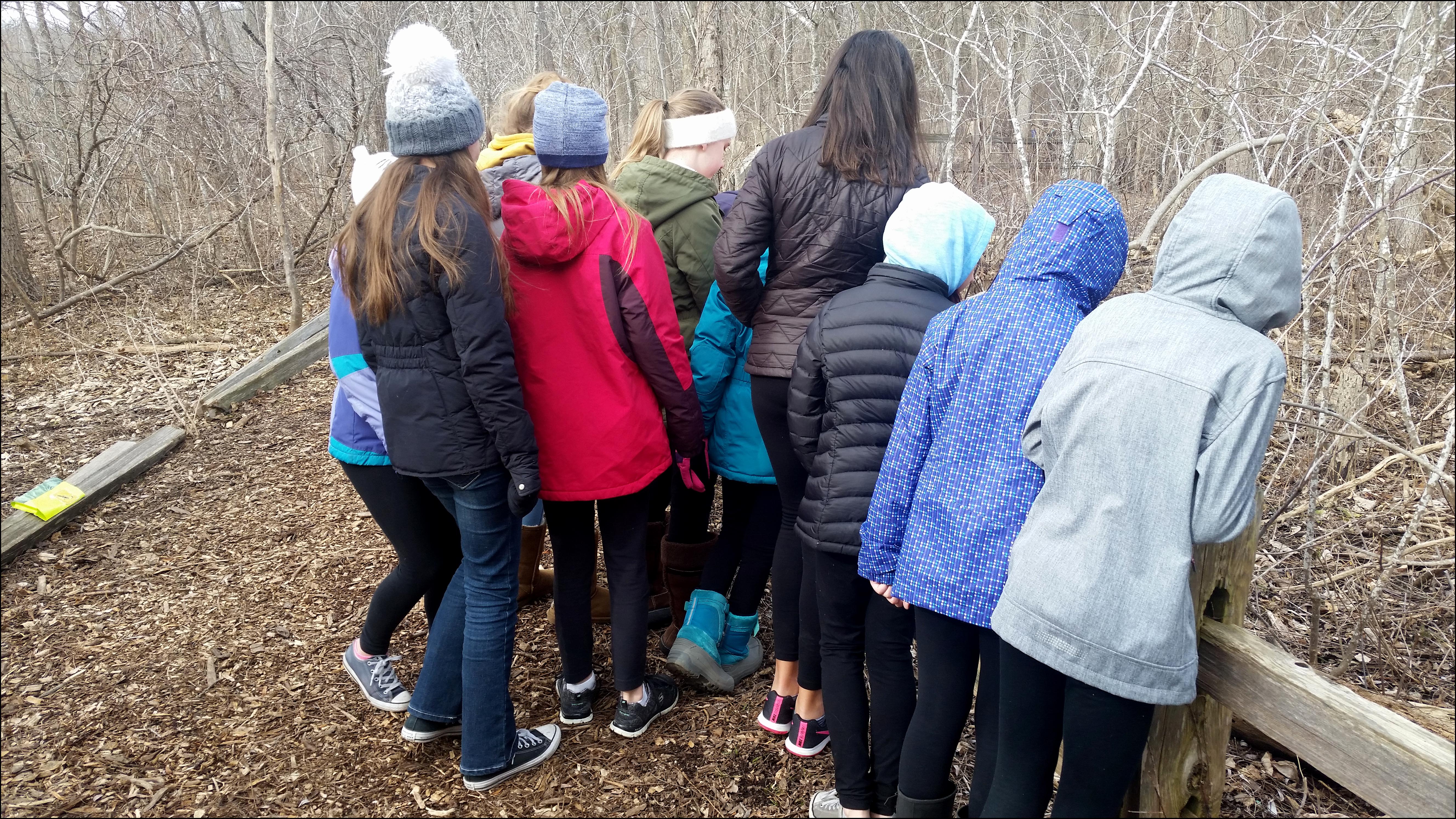 Winter Learning Nature Walk Walking with nature Montessori Parent Education Blog - Montessori Blog - Grumble Services Montessori-inspired Elementary Learning Resources