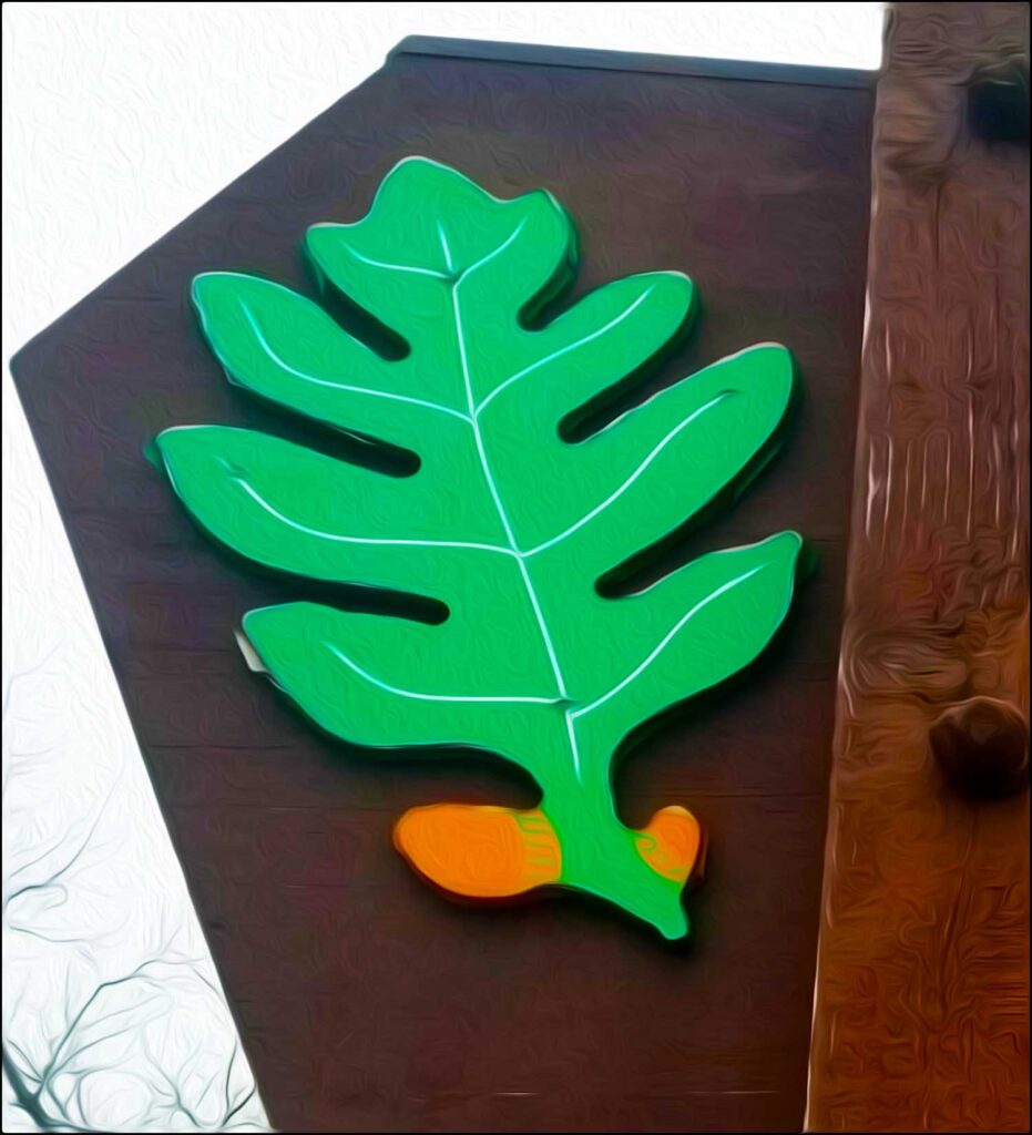 Grand Old Leaf Outdoor Learning Montessori Method Blog Grumble Services Blog elementary Montessori materials and learning resources